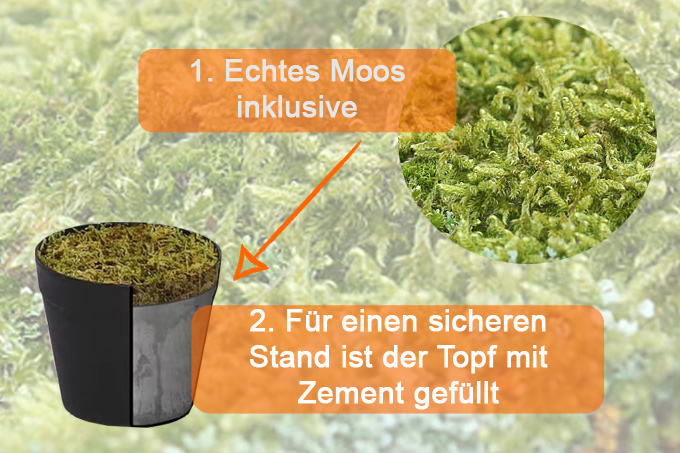 Kunstpflanzen von MichaelNoll mit echtem Moos für den Topf