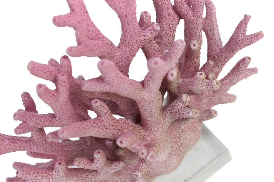 Deko Koralle Maritime Statue