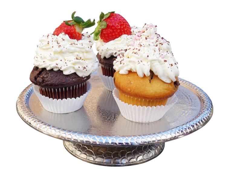 Dekoteller Standfuß Aluminium Silber M 26,5 cm