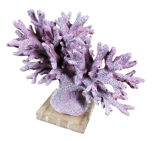 Deko Koralle Maritime Statue